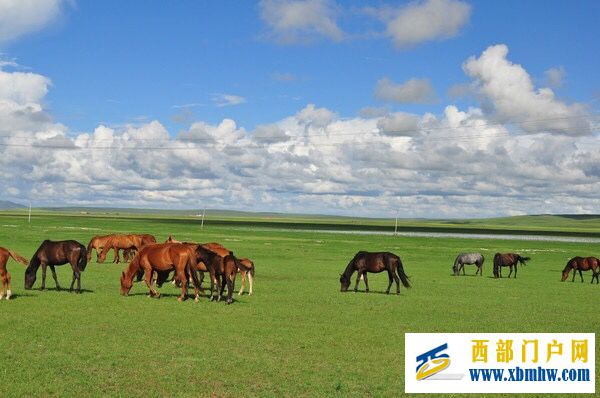 呼伦贝尔及主要景点介绍(图18)