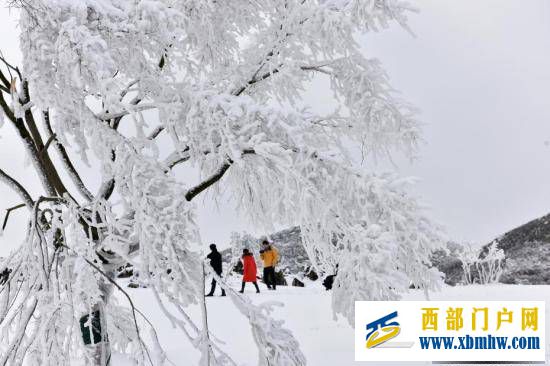 重庆酉阳现雪凇云海似仙境(图1)