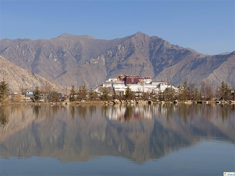 春到拉萨(图3) 春到拉萨(图3)