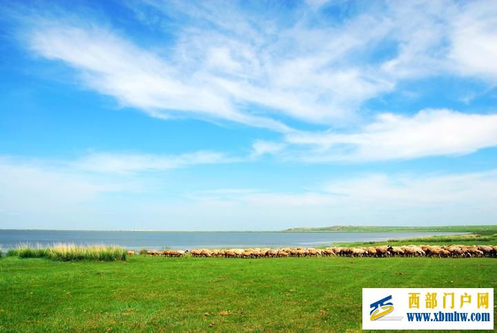 魅力满洲里(图4) 魅力满洲里(图4)