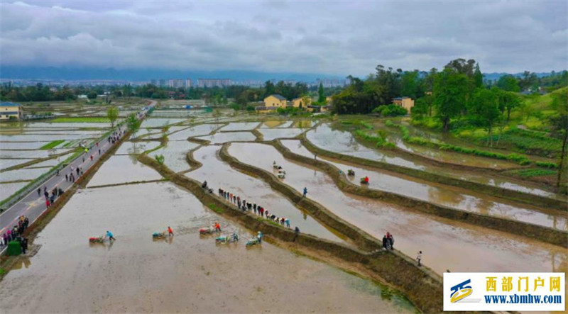 精彩纷呈第二届长江三峡(梁平)耕春节开幕(图1) 精彩纷呈第二届长江三峡(梁平)耕春节开幕(图1)