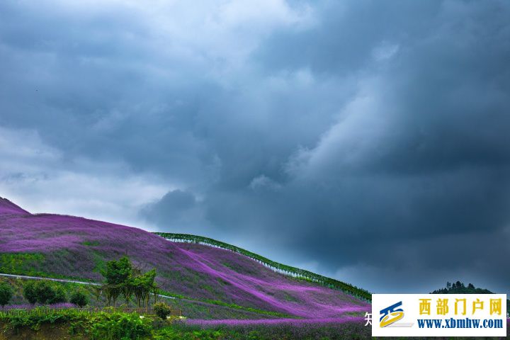 贵州的历史(图1)
