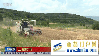 夏粮丰收在望天水多措并举确保颗粒归仓(图1) 夏粮丰收在望天水多措并举确保颗粒归仓(图1)