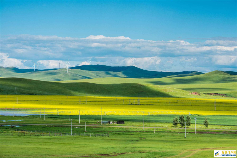 去了内蒙古才知道的:内蒙古的那些事儿(图1) 去了内蒙古才知道的:内蒙古的那些事儿(图1)