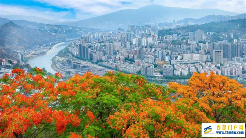 攀枝花:“成绩单”后的战略定力(图1) 攀枝花:“成绩单”后的战略定力(图1)