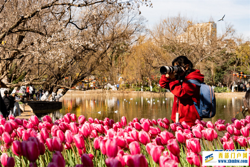 在昆明“郁”见春色浪漫(图3) 在昆明“郁”见春色浪漫(图3)