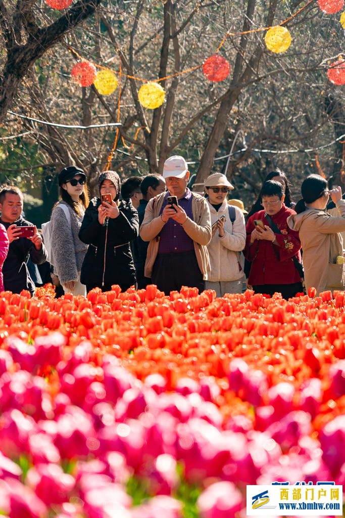 在昆明“郁”见春色浪漫(图5) 在昆明“郁”见春色浪漫(图5)