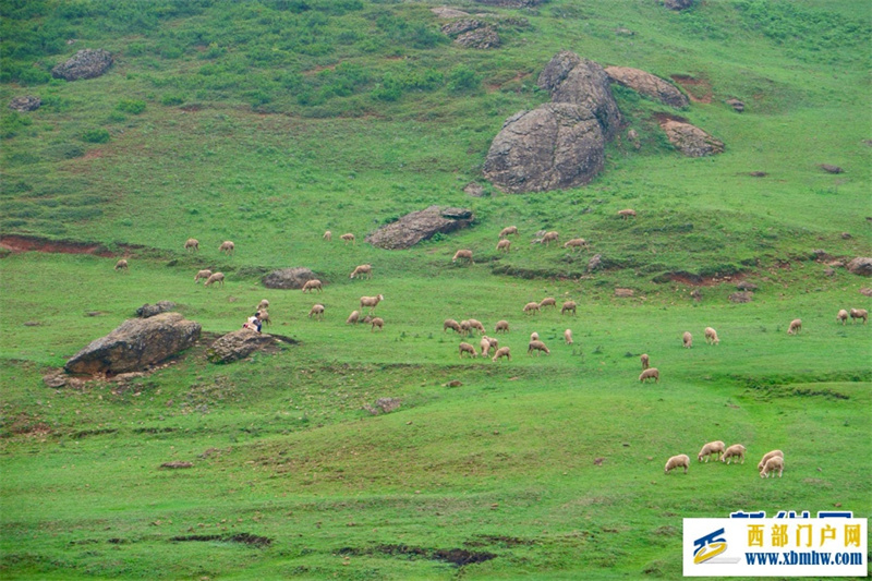 云南寻甸:高山草场引游人(图3) 云南寻甸:高山草场引游人(图3)