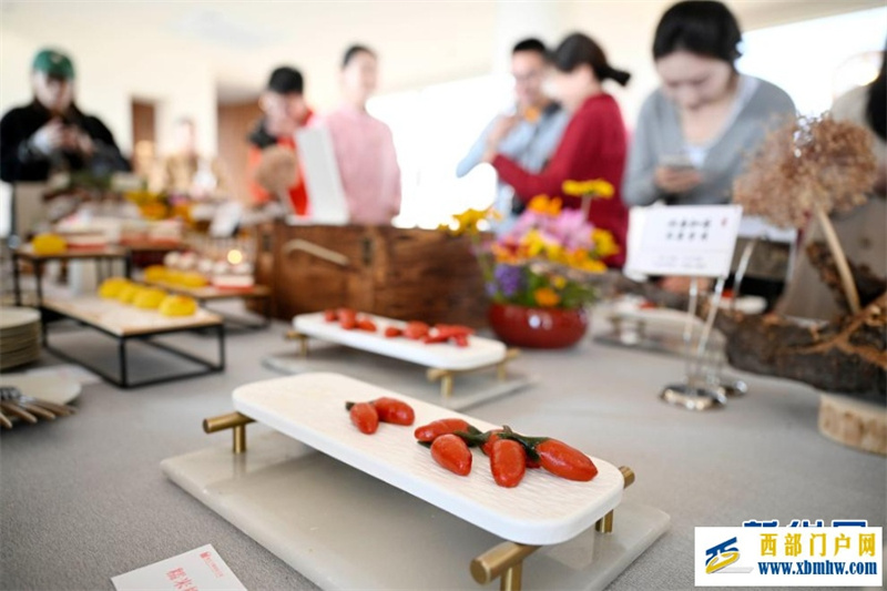 第二届宁夏枸杞养生节在银川举行(图3) 第二届宁夏枸杞养生节在银川举行(图3)