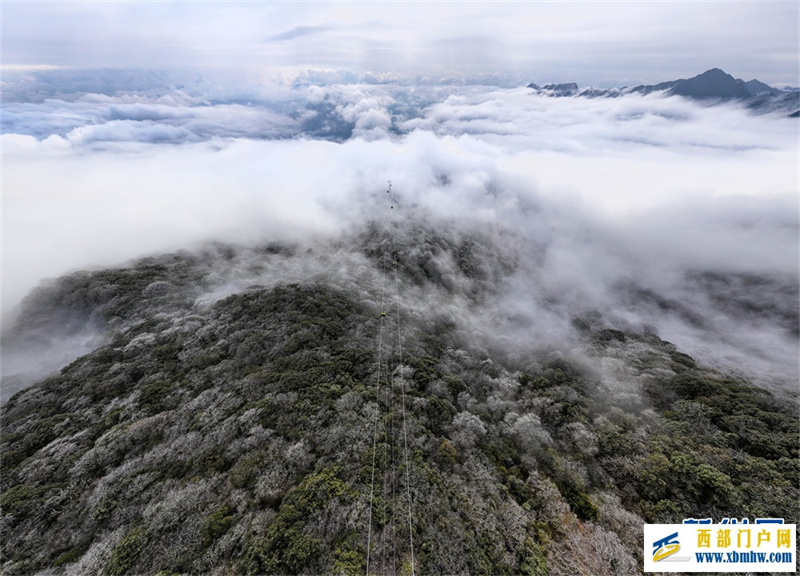 贵州梵净山：春日云海雾凇如画卷(图2)
