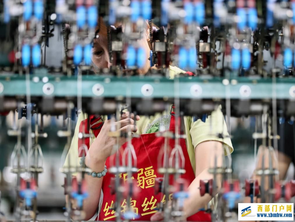 新疆乌苏：桑蚕茧产业拓宽乡村振兴新“丝”路(图5)