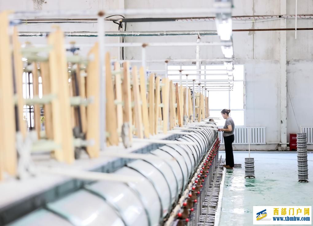 新疆乌苏：桑蚕茧产业拓宽乡村振兴新“丝”路(图6)