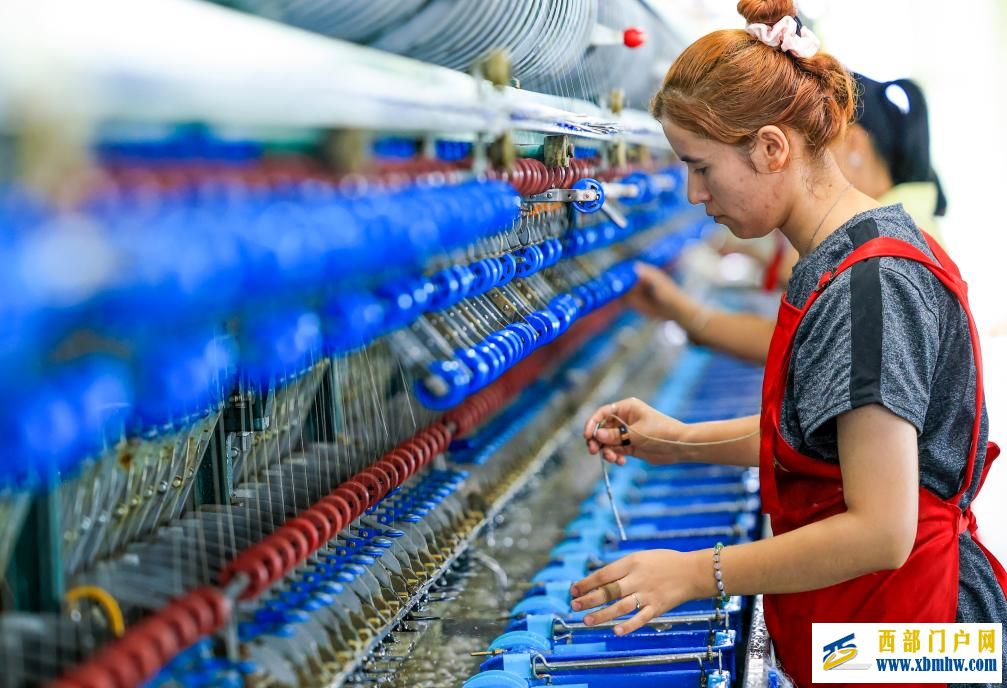 新疆乌苏：桑蚕茧产业拓宽乡村振兴新“丝”路(图7)