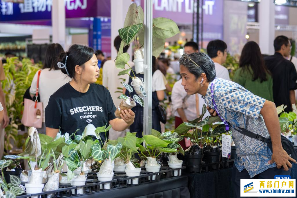 第二十三届中国昆明国际花卉展开幕(图8)