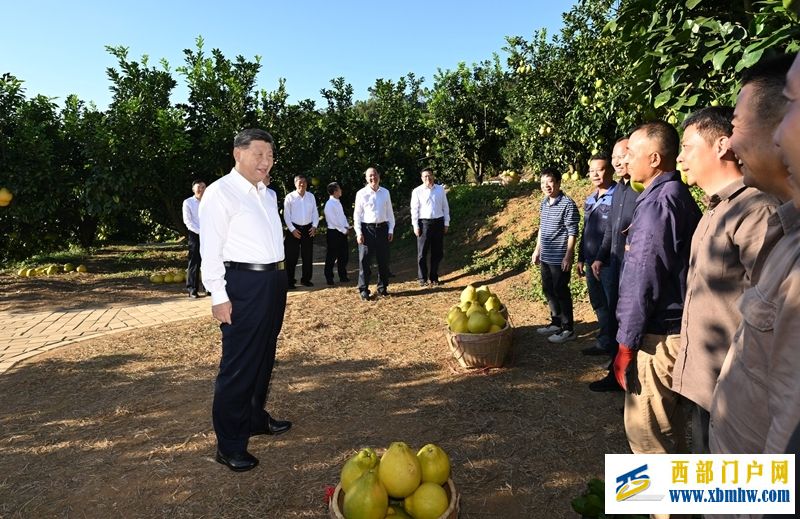 习近平在广东考察时强调(图6)