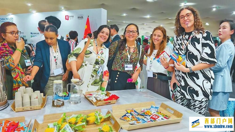 云南经验亮相COP30中国角主题边会(图1)