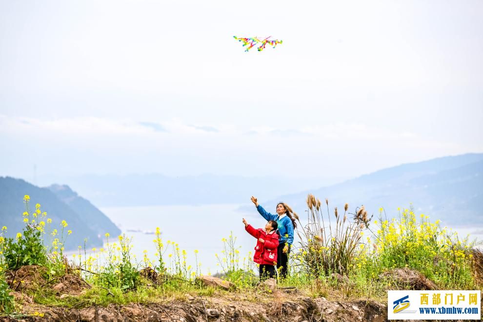 重庆丰都：油菜花开长江岸(图1)