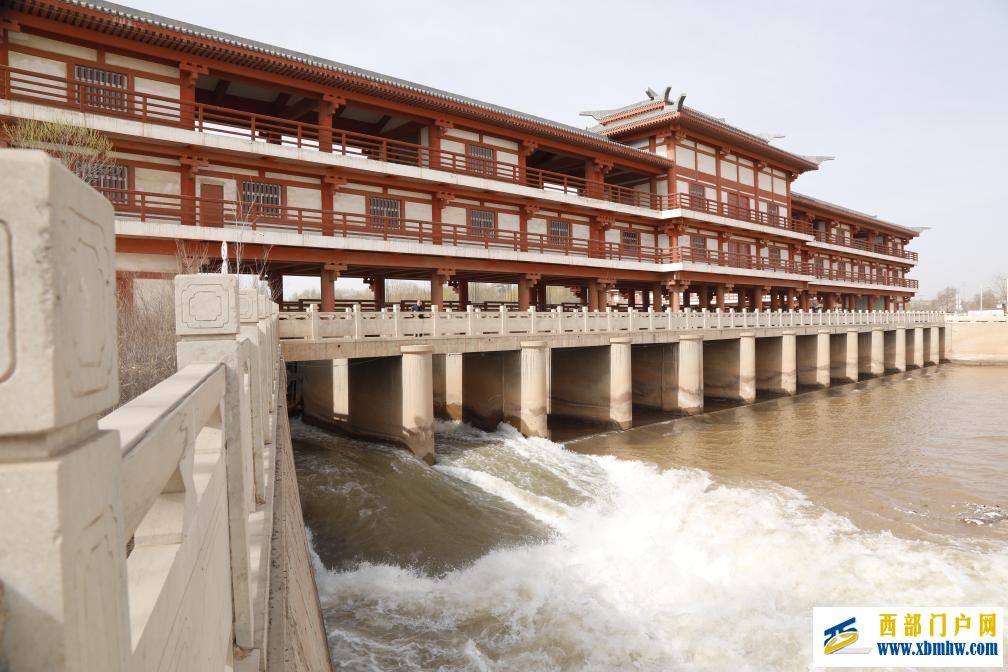 宁夏：引黄灌区正式开闸 河湖田野“喝饱”春水(图1)