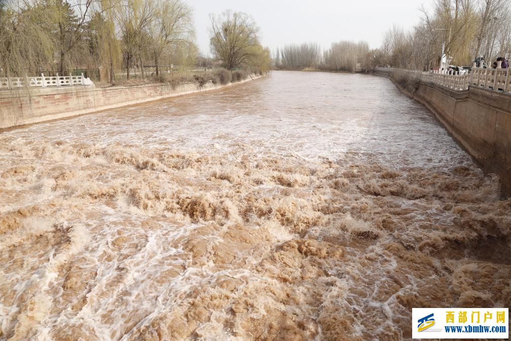 宁夏：引黄灌区正式开闸 河湖田野“喝饱”春水(图3)